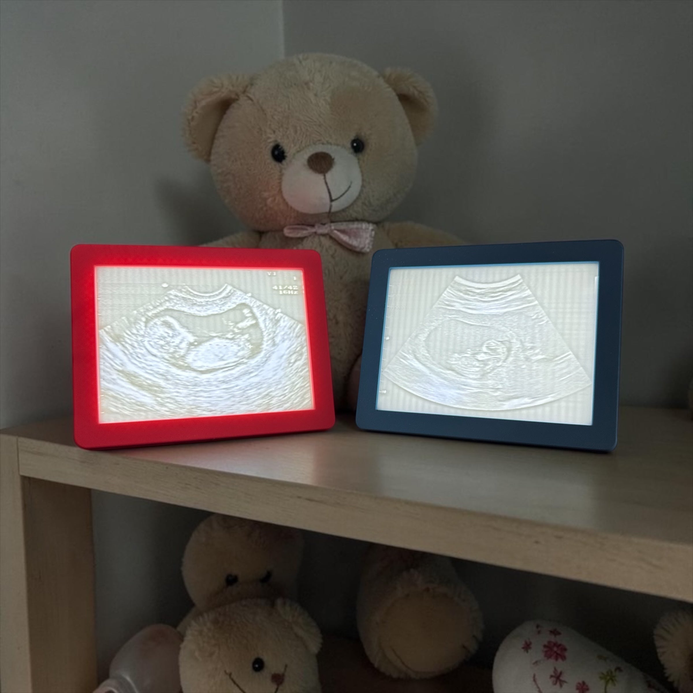 ILLUMINATED MEMORIES